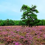 Landgasthaus Zum Naturschutzpark *