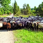 Landgasthaus Zum Naturschutzpark