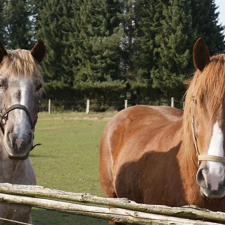 Landgasthaus Zum Naturschutzpark *