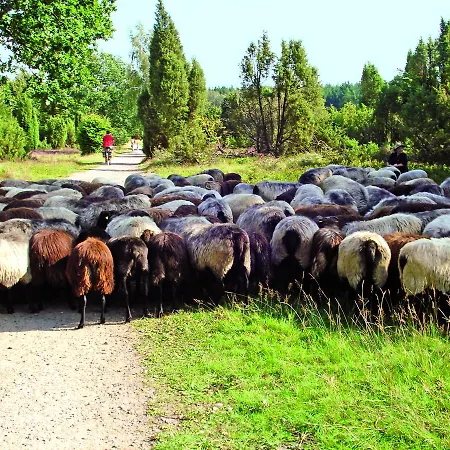 Landgasthaus Zum Naturschutzpark