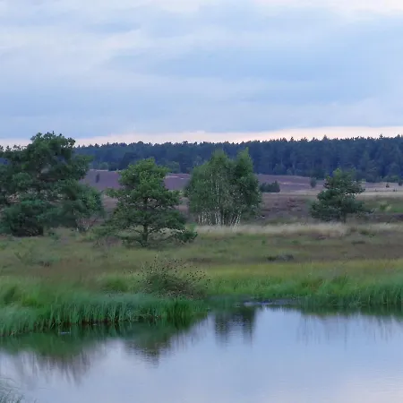 Hotell Landgasthaus Zum Naturschutzpark Bispingen