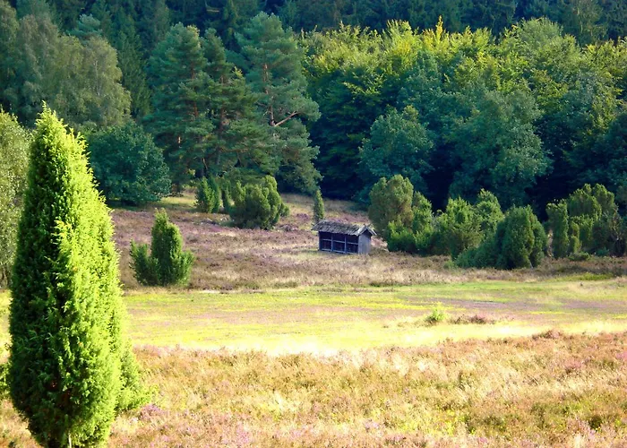 Landgasthaus Zum Naturschutzpark Hotel Bispingen