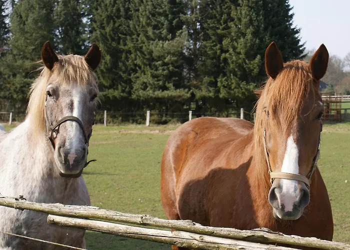 Landgasthaus Zum Naturschutzpark *