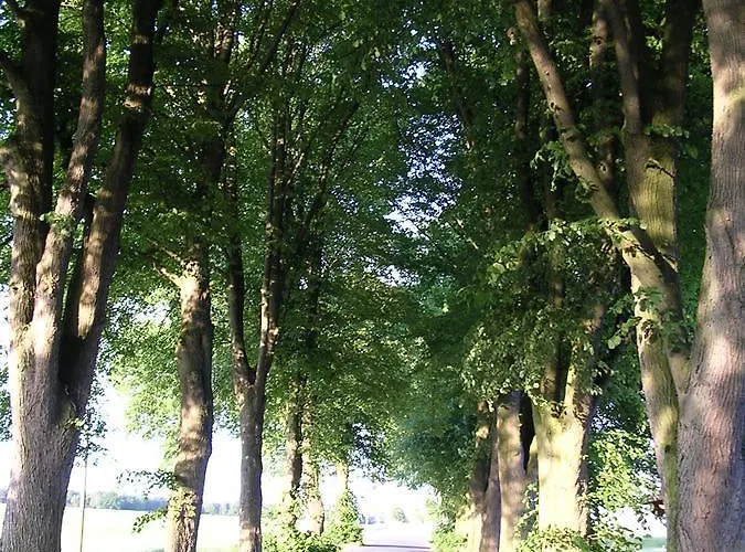 Hotel Landgasthaus Zum Naturschutzpark